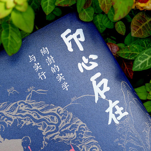 印心石在：陶澍的实学与实行 商品图3
