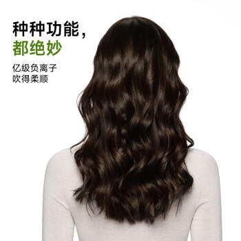 徕芬Mini高速吹风机 速干家用儿童电吹风 便携负离子护发风筒出行必备 圣诞新年礼物 抹茶绿 /家用电器 /个护健康 /电吹风 商品图1