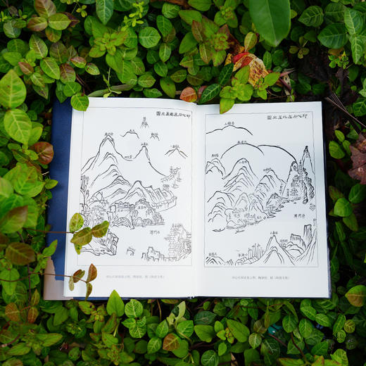 印心石在：陶澍的实学与实行 商品图6