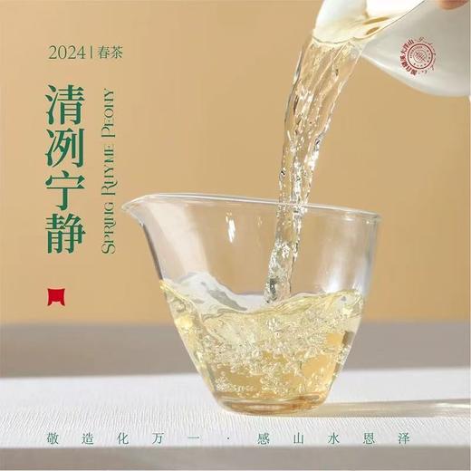 福鼎白茶丨2024年一叶九鼎竹韵牡丹·一级白牡丹 500g 商品图1