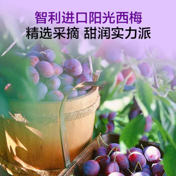 1号会员店 无添加去核西梅干400g 蜜饯果干休闲零食办公室追剧水果干 商品图5