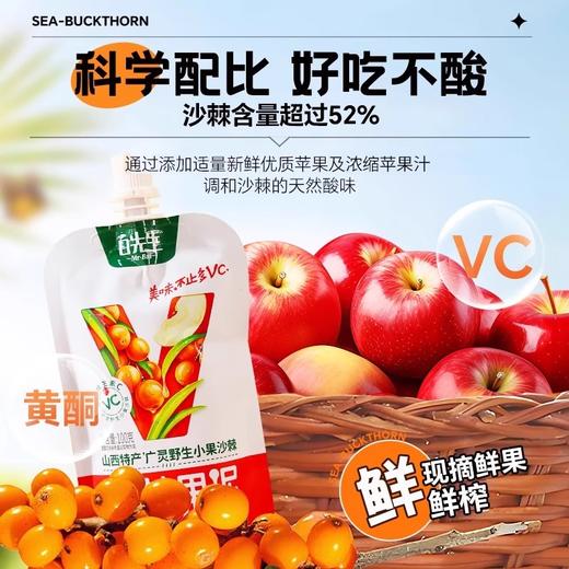 白先生沙棘果泥100gx3袋起野生沙棘小果含维C山西特产 商品图3