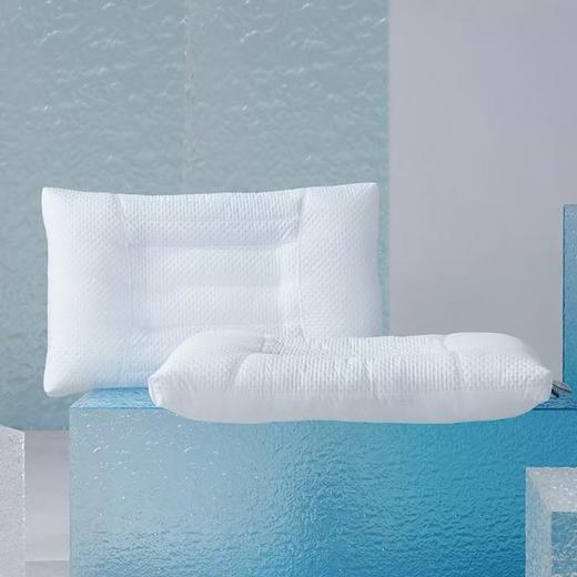 梦洁  00117 高山云荞决明子枕【45*70】 商品图1