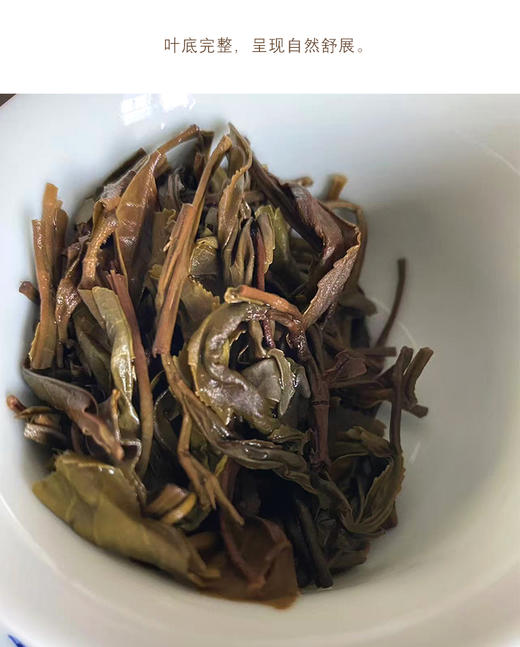 生普 | 2021年洪海古树 巴达山 357g/饼 商品图5
