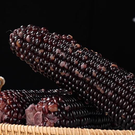 巧克力黑糯玉米有机种植富硒非转基因玉米棒早餐代餐 商品图2