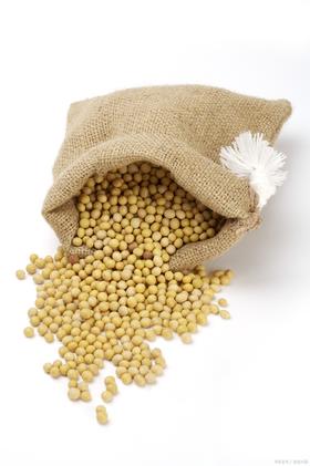 东北大颗粒黄豆5.5元1袋500g,次日到