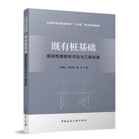 既有桩基础服役性能检测评估与工程实践