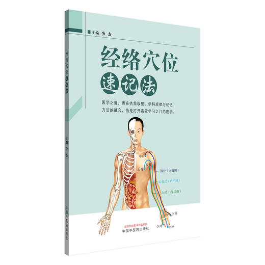 经络穴位速记法（彩图版）李杰 主编 中国中医药出版社 商品图4