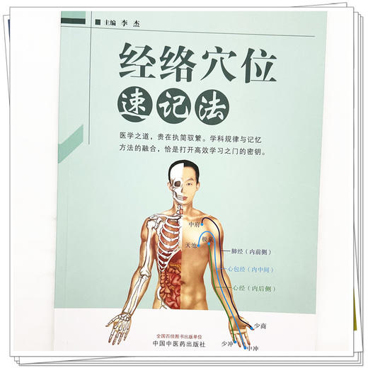 经络穴位速记法（彩图版）李杰 主编 中国中医药出版社 商品图3