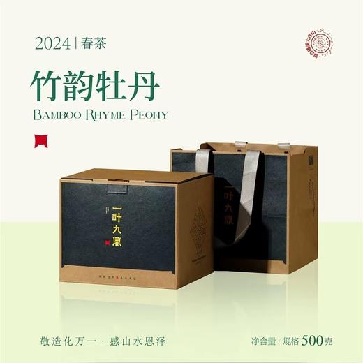 福鼎白茶丨2024年一叶九鼎竹韵牡丹·一级白牡丹 500g 商品图0