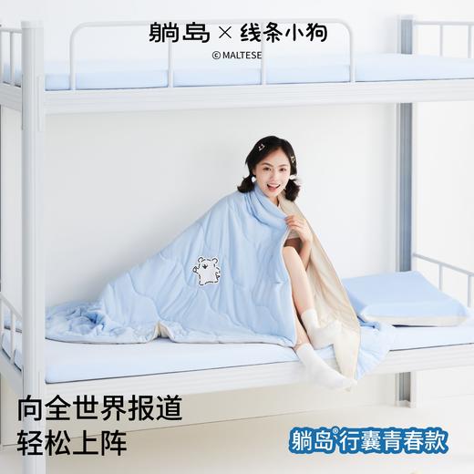 【新品上新】躺岛行囊大学生宿舍床品套装线条小狗床上六件套寝室床垫枕头被子 商品图0