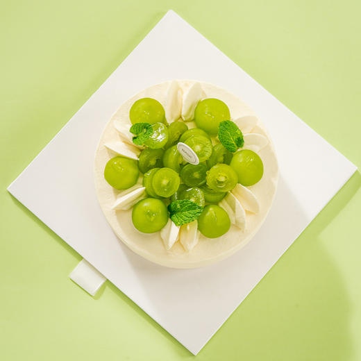 【网龙】冷萃茉莉玉珠 3磅（8英寸） 商品图2