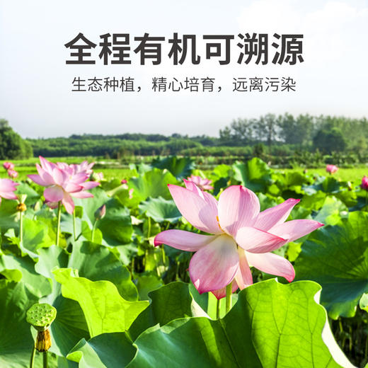 方家铺子 有机白莲200g/袋装 商品图7