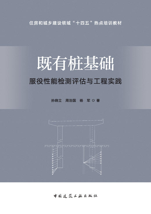 既有桩基础服役性能检测评估与工程实践 商品图2