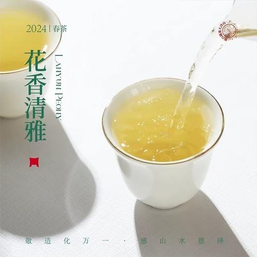福鼎白茶 | 2024年一叶九鼎 大洋山 高山岚韵牡丹 500g 商品图3