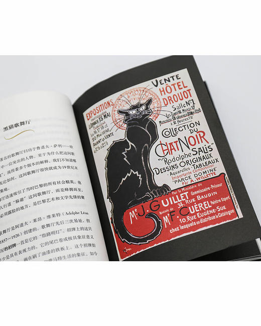 神秘的黑猫：象征与迷信（法）娜塔莉•塞姆努伊克 著 商品图6