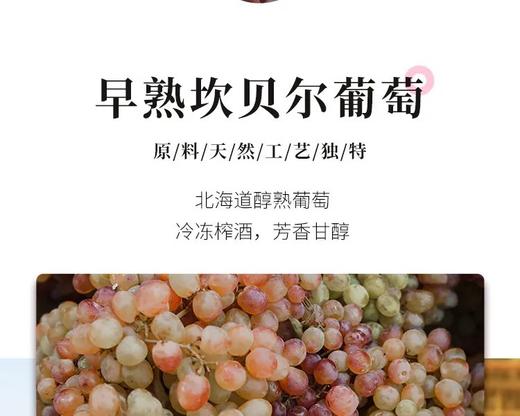 日本函馆坎贝尔红葡萄酒_ymt 商品图1