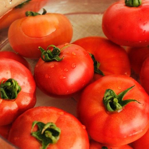 家庭装～云南脆蜜高糖水果番茄【净重约3.5斤】有籽有味，口感脆甜，味超浓，超好吃！ 商品图5