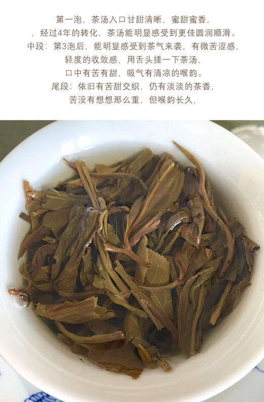 生普 | 2021年洪海古树 巴达山 357g/饼 商品图4