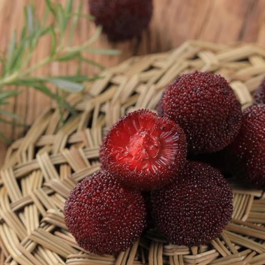 【产地直发】浙江慈溪荸荠杨梅 酸甜可口 饱满多汁  清香甜美 商品图0