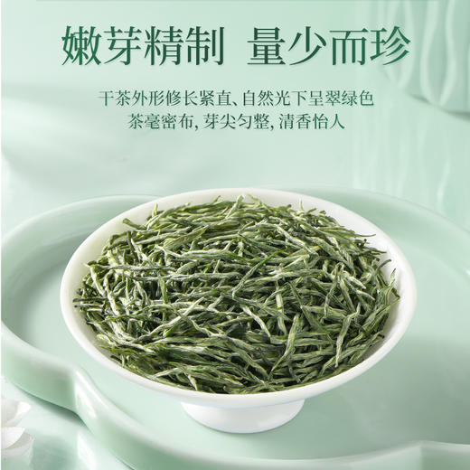 【臻尖-毛尖至醇】新茶 毛尖绿茶明前独芽80g*2罐 商品图1