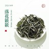 福鼎白茶丨2024年一叶九鼎  春韵牡丹二级白牡丹 500g 商品缩略图1