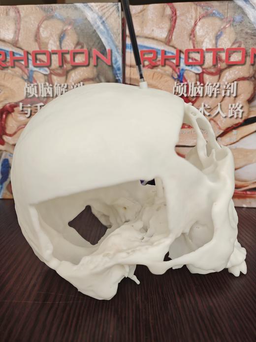 开颅手术定位穿刺颅骨模型，神外世界出品 商品图1