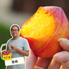 生态油桃 | 合作生产 *Eco nectarine | Coproduction 商品缩略图0