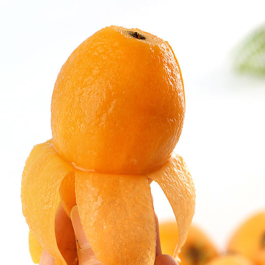 现货新鲜四川米易枇杷应季水果采摘高山应季枇杷琵琶 商品图3