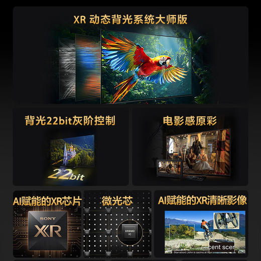 【国补15%】索尼电视5系98寸XR50 轻旗舰Mini LED 电影工业级音画 影院电视新标杆98英寸 98英寸 K-98XR50 商品图1