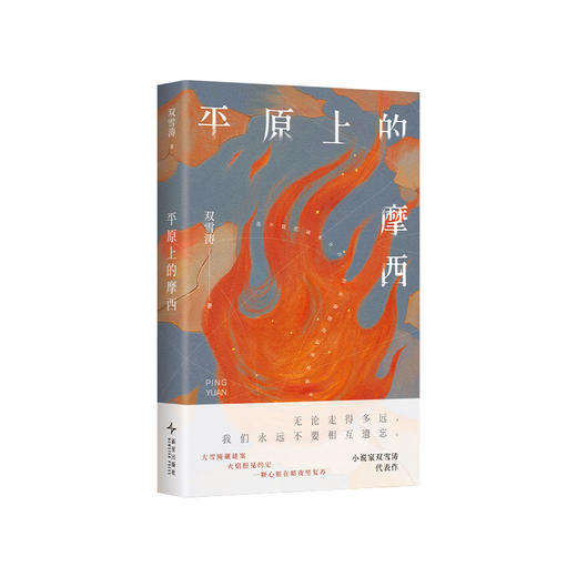 双雪涛：平原上的摩西 商品图5