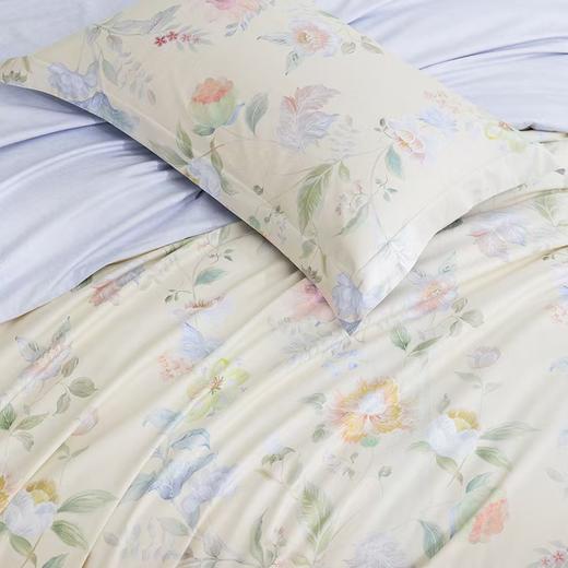 梦洁 纯棉三件套花蕾-3【150】 商品图3