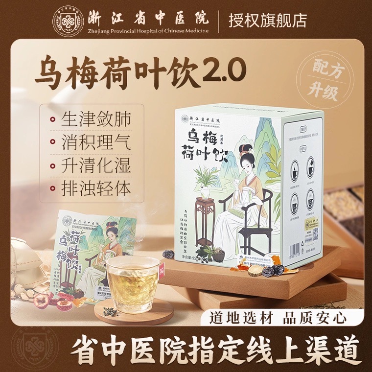 【浙江省中医院出品】乌梅汤2.0版  乌梅荷叶饮茶包养生茶