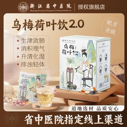 【浙江省中医院出品】乌梅汤2.0版  乌梅荷叶饮茶包养生茶 商品图0