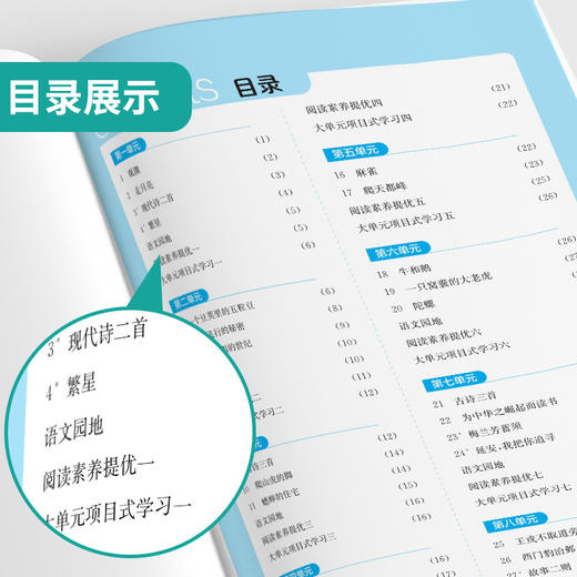 2025年秋【人教版】4年级上册 实验班提优训练 小学语文四年级 商品图2