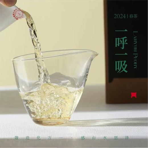福鼎白茶 | 2024年一叶九鼎 大洋山 高山岚韵牡丹 500g 商品图2