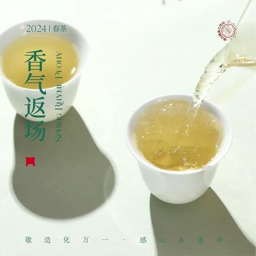 福鼎白茶丨2024年一叶九鼎  春韵牡丹二级白牡丹 500g 商品图3