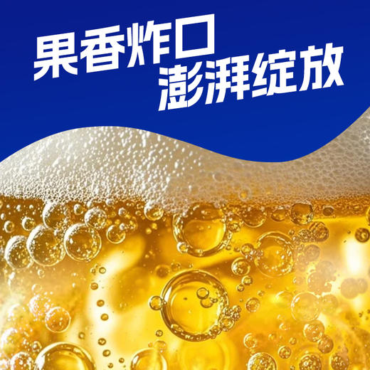 会稽山气泡黄酒原味易拉罐装330ml*12 商品图3