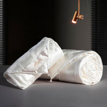 水星家纺蚕丝被100%蚕丝冬被子冬季子母被二合一被芯约7.9斤200×230cm /床上用品 /被子 /蚕丝被 商品图2