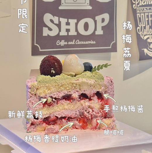 杨梅“荔”夏-4寸 商品图2