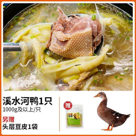 【杨博士皖南土鸭】溪水放养河鸭老鸭 深山散养 1000g及以上/只 商品图2