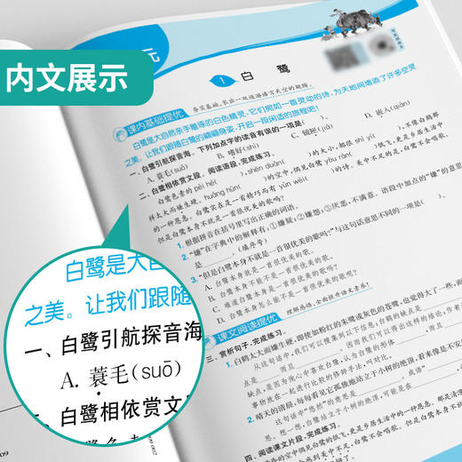2025年秋【人教版】5年级上册 实验班提优训练 小学语文五年级 商品图3