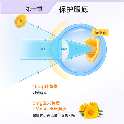 VitaRealm 维乐原 成人叶黄素胶囊 60粒/瓶 商品图6