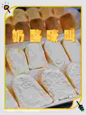 【2只】奶酪🧀嚎叫