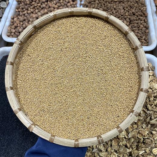 白芥子 当季新货 颗粒饱满 中药材 商品图1