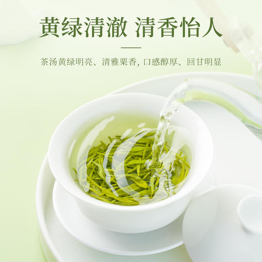 【臻尖-毛尖小雅】新茶明前嫩芽毛尖绿茶雅安蒙顶山茶叶100g*2罐 商品图2
