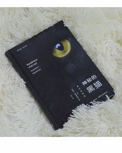 神秘的黑猫：象征与迷信（法）娜塔莉•塞姆努伊克 著 商品图5