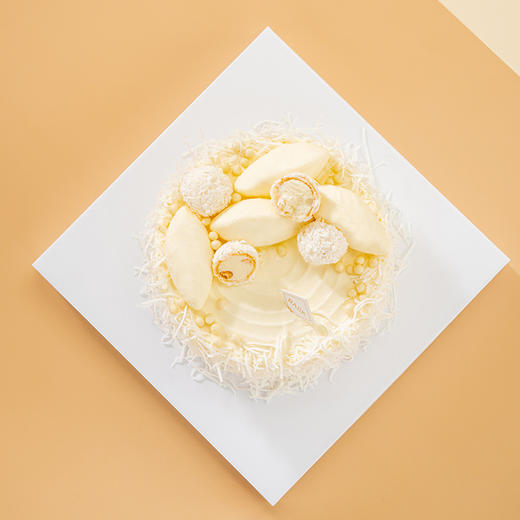 【网龙】椰子不语 3磅（8英寸） 商品图3