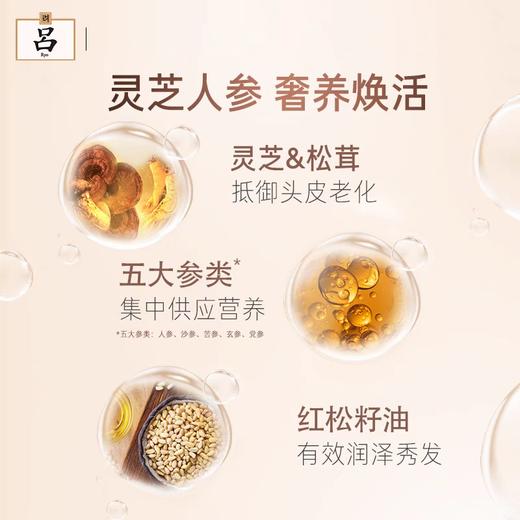 韩国黑吕臻参焕活御时昇机洗发水/护发素 商品图3