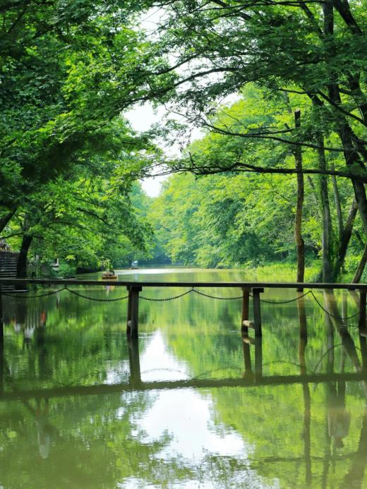 【定制】安徽黄山3天2晚度假游，玩徽州古城+黄山风景区+宏村+西溪南+九龙瀑+屯溪老街 商品图2